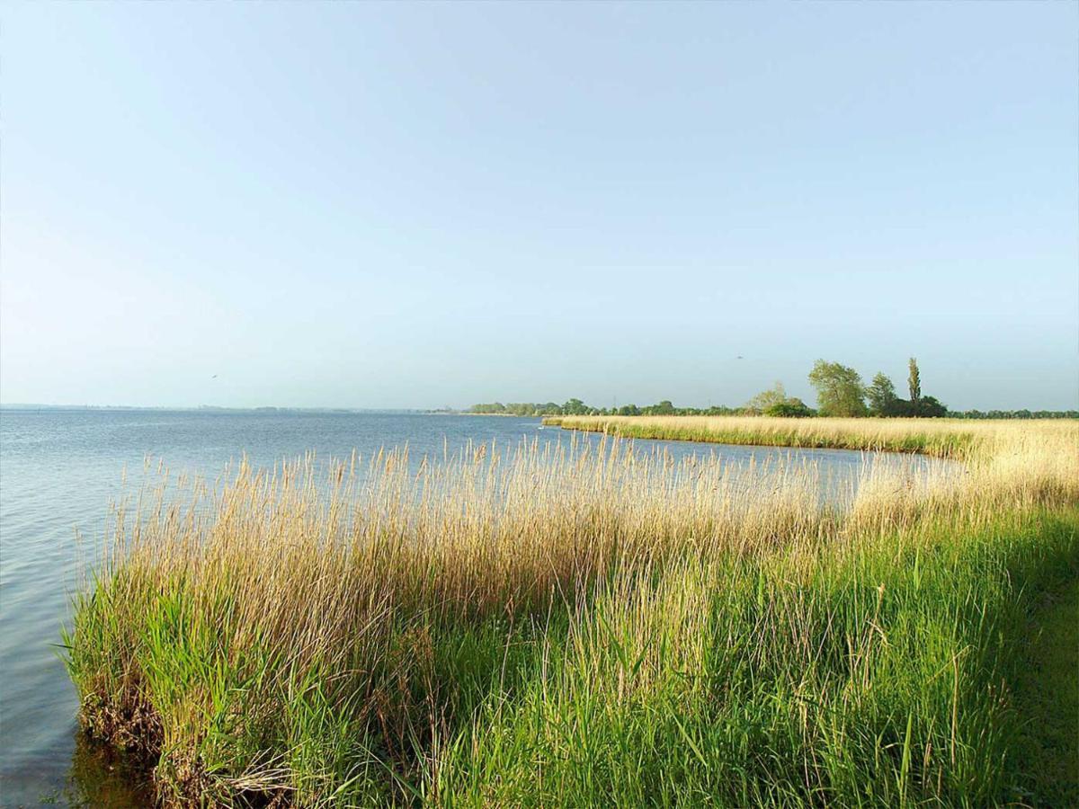 Guldborg Camping & Cottages - Famillyspace Extérieur photo